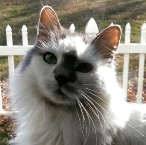 Meet your Posher, Cathy